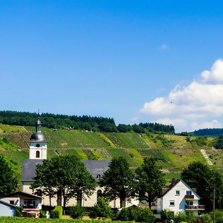 Und Gaestezimmer Reis-kohl Appartement Mehring (Rhineland-Palatinate)